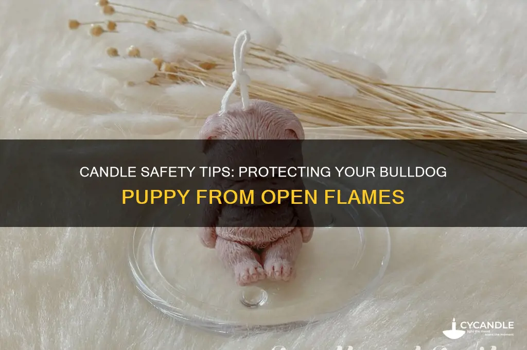 can i burn candles around my bulldog puppy