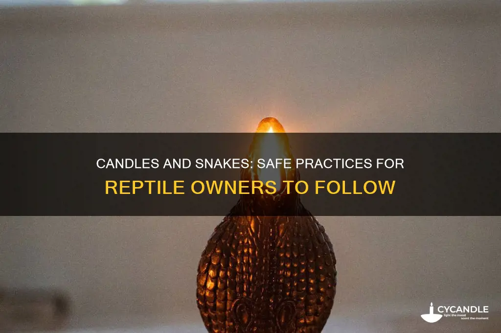 can i burn candles near my snakes
