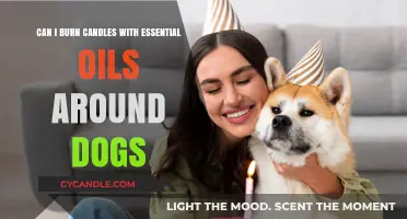 Pet-Safe Aromatherapy: Burning Essential Oil Candles Around Dogs
