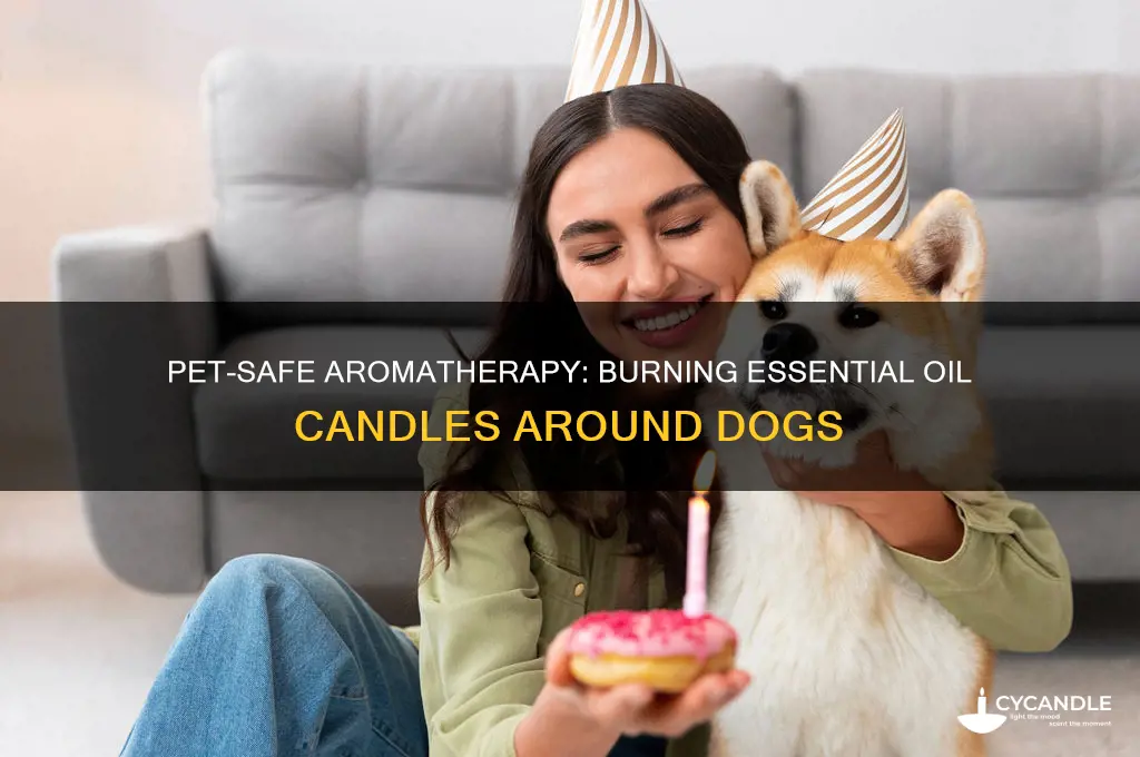 can i burn candles with essential oils around dogs