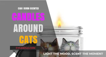 Are Scented Candles Safe for Cats? What Pet Owners Should Know