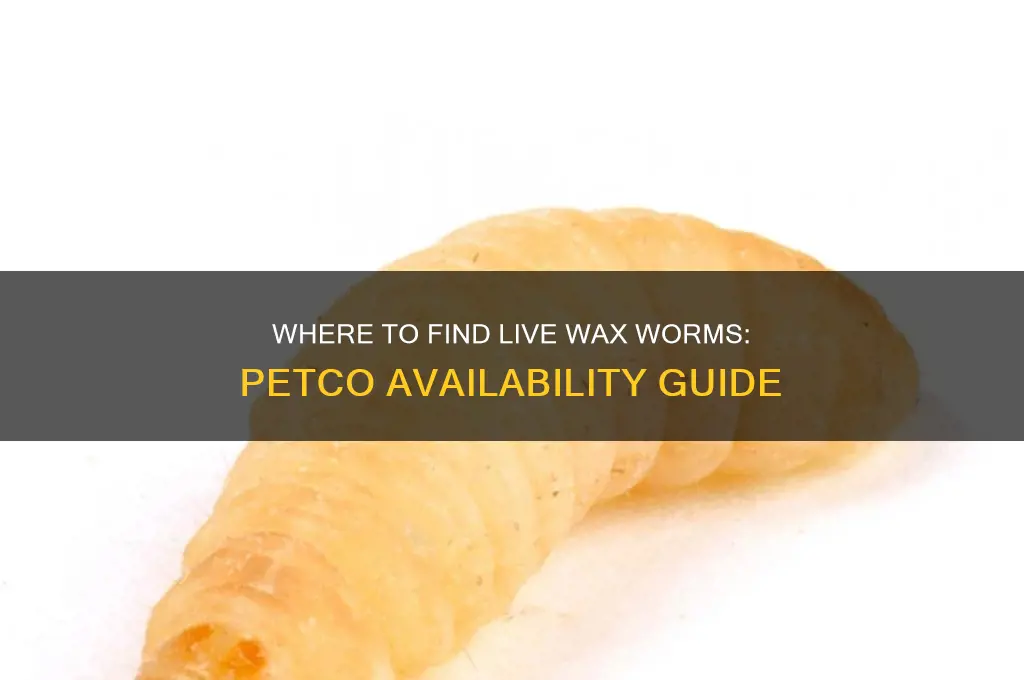 can i buy live wax worm in petco store