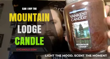 Where to Buy the Mountain Lodge Candle: A Complete Guide