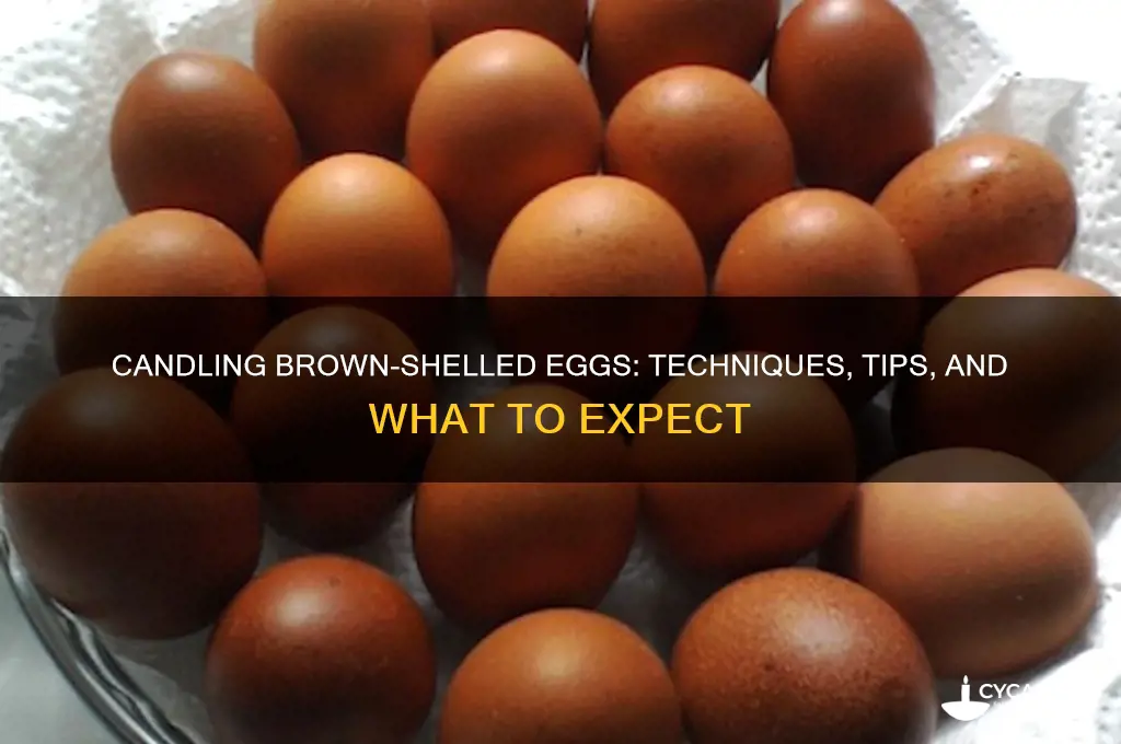 can i candle a brown shelled egg