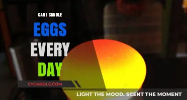 Daily Egg Candling: Is It Safe and Effective for Monitoring Eggs?