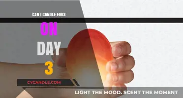 Candling Eggs on Day 3: Is It Too Early to Check?
