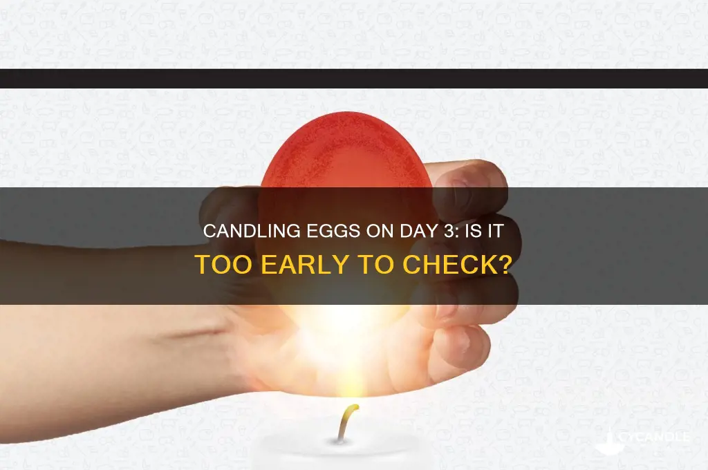 can i candle eggs on day 3
