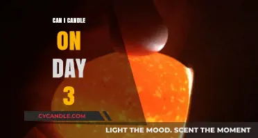 Candling Eggs on Day 3: Is It the Right Time?