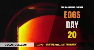 Candling Chicken Eggs on Day 20: What to Expect and Look For