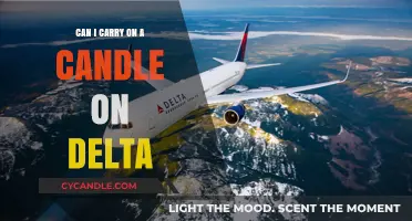 Delta Carry-On Rules: Can You Pack Candles in Your Luggage?