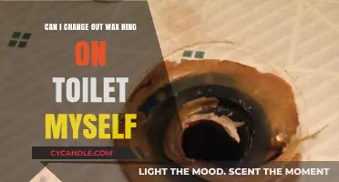 DIY Toilet Wax Ring Replacement: Can You Do It Yourself?