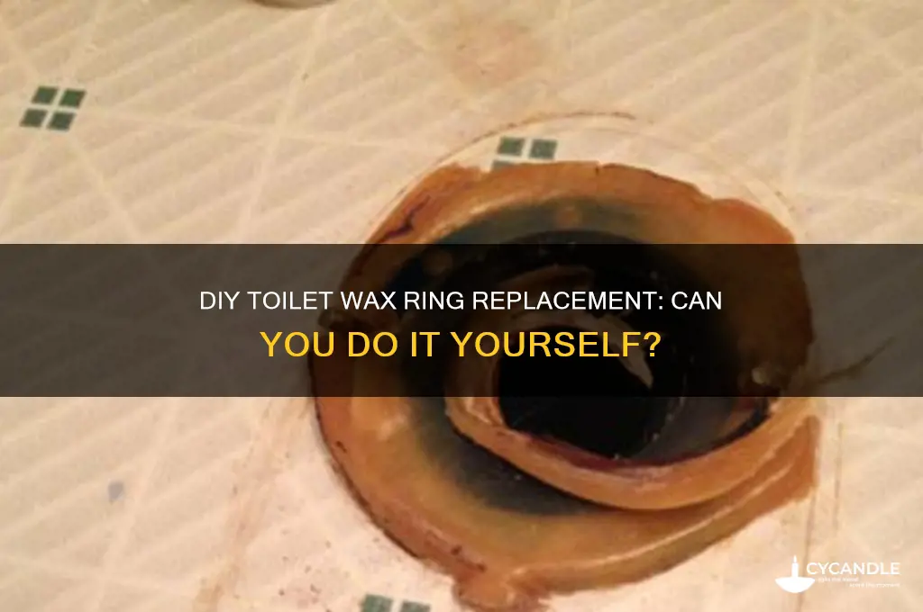 can i change out wax ring on toilet myself