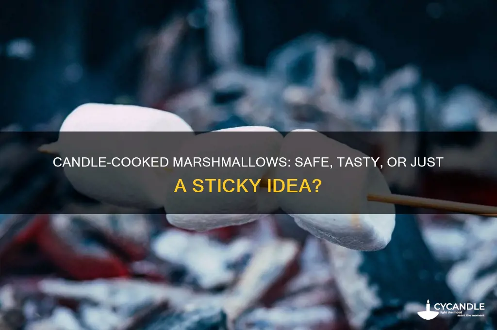 can i cook marshmallows over a candle