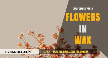 Wax-Dipped Fresh Flowers: Creative Preservation Techniques and Tips