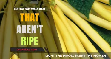 Can You Eat Yellow Wax Beans Before They're Fully Ripe?
