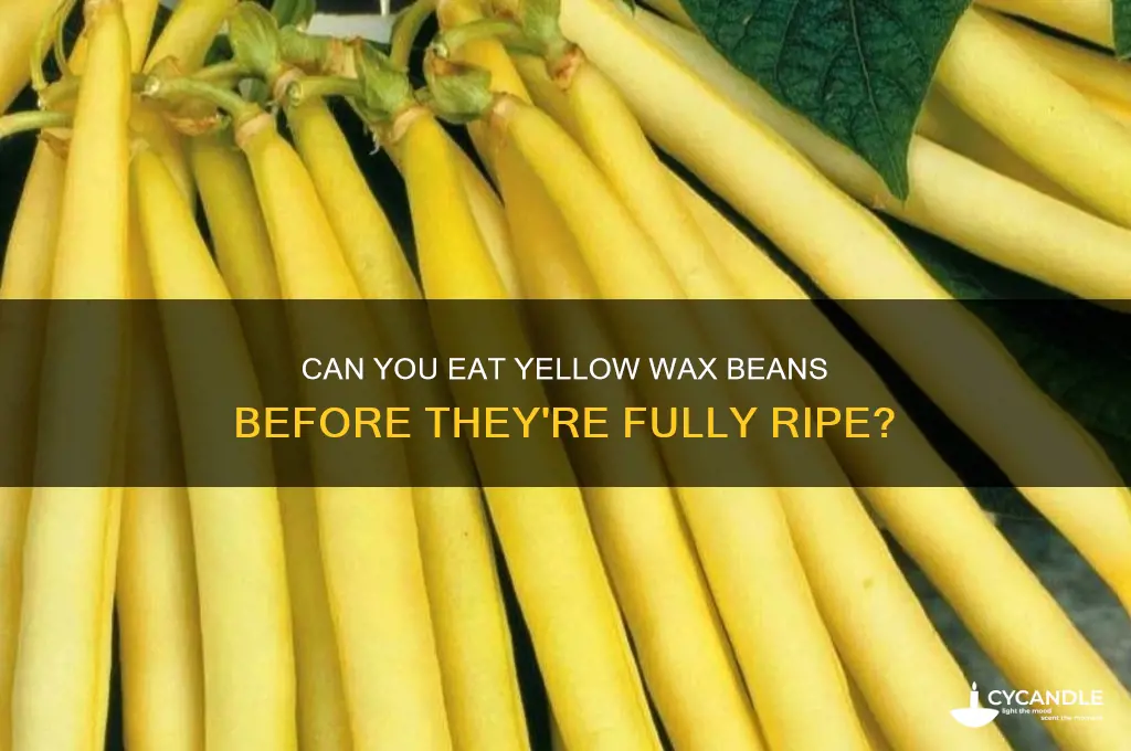 can i eat yellow wax beans that aren