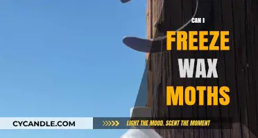 Freezing Wax Moths: Effective Preservation Method or Temporary Solution?