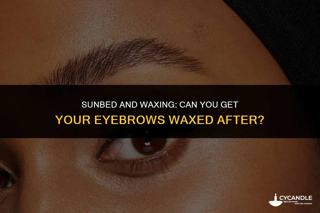 can i get my eyebrows waxed after a sunbed