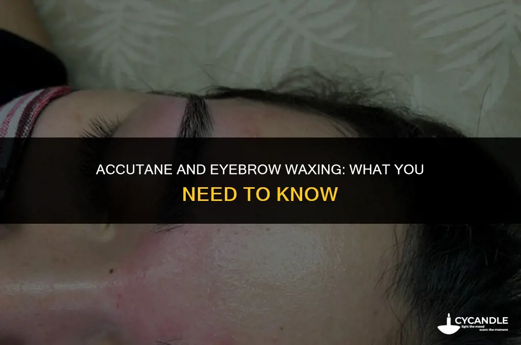 can i get my eyebrows waxed on accutane