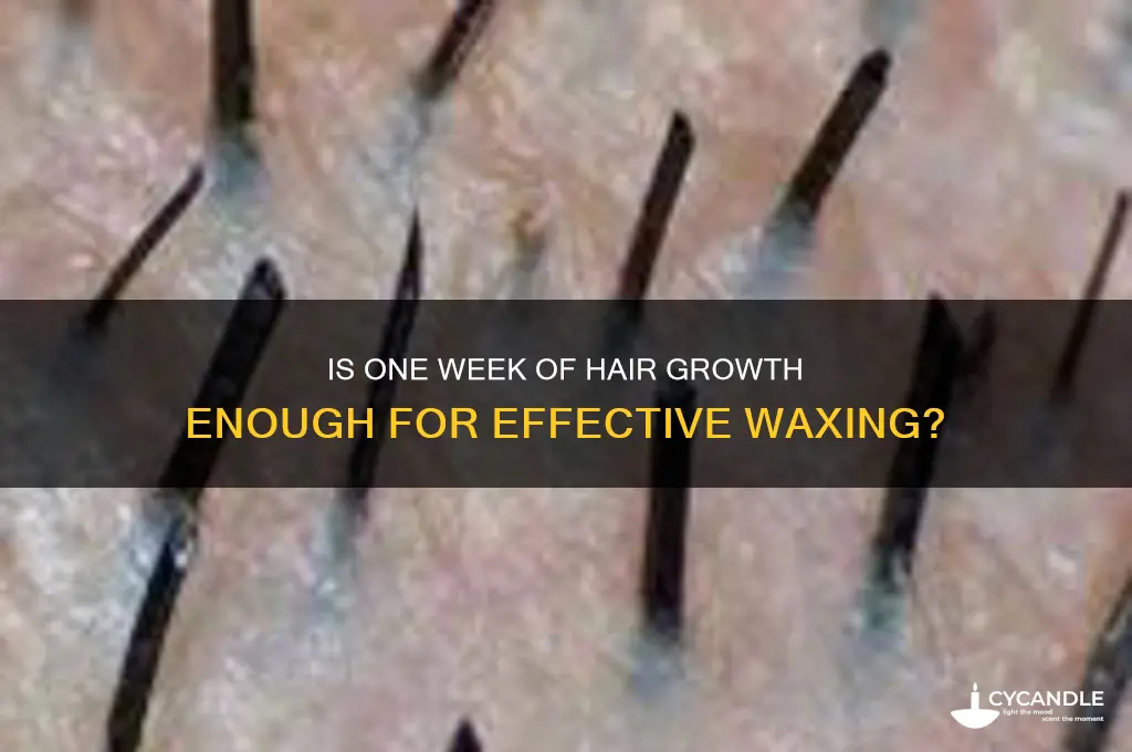 can i get waxed with one weeks growth