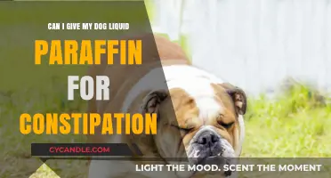 Liquid Paraffin for Dog Constipation: Safe or Risky Remedy?