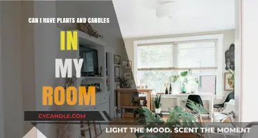 Plants and Candles in Your Room: A Safe and Cozy Combo?