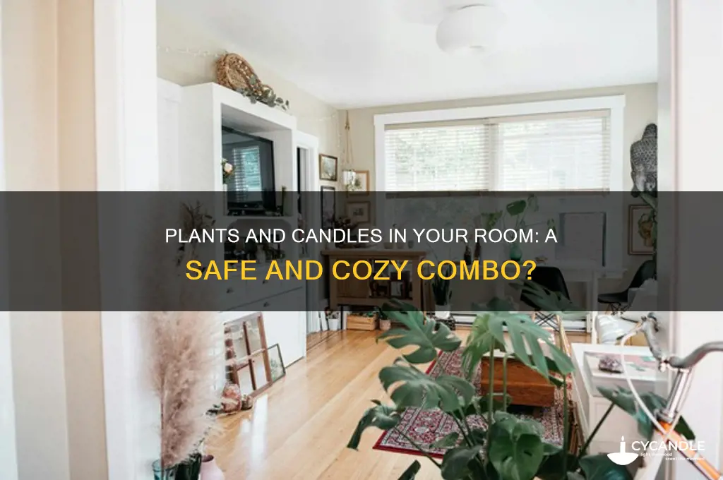 can i have plants and candles in my room