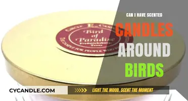 Scented Candles and Birds: Safe or Harmful for Your Feathered Friends?