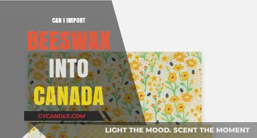 Importing Beeswax to Canada: Regulations, Requirements, and Best Practices