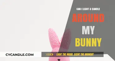 Candle Safety for Bunny Owners: Tips to Keep Your Pet Safe