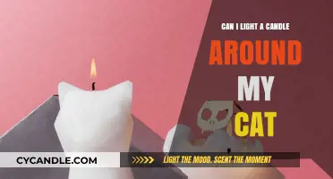 Candles and Cats: Safe Practices for Pet Owners to Follow