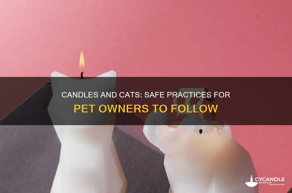 can i light a candle around my cat