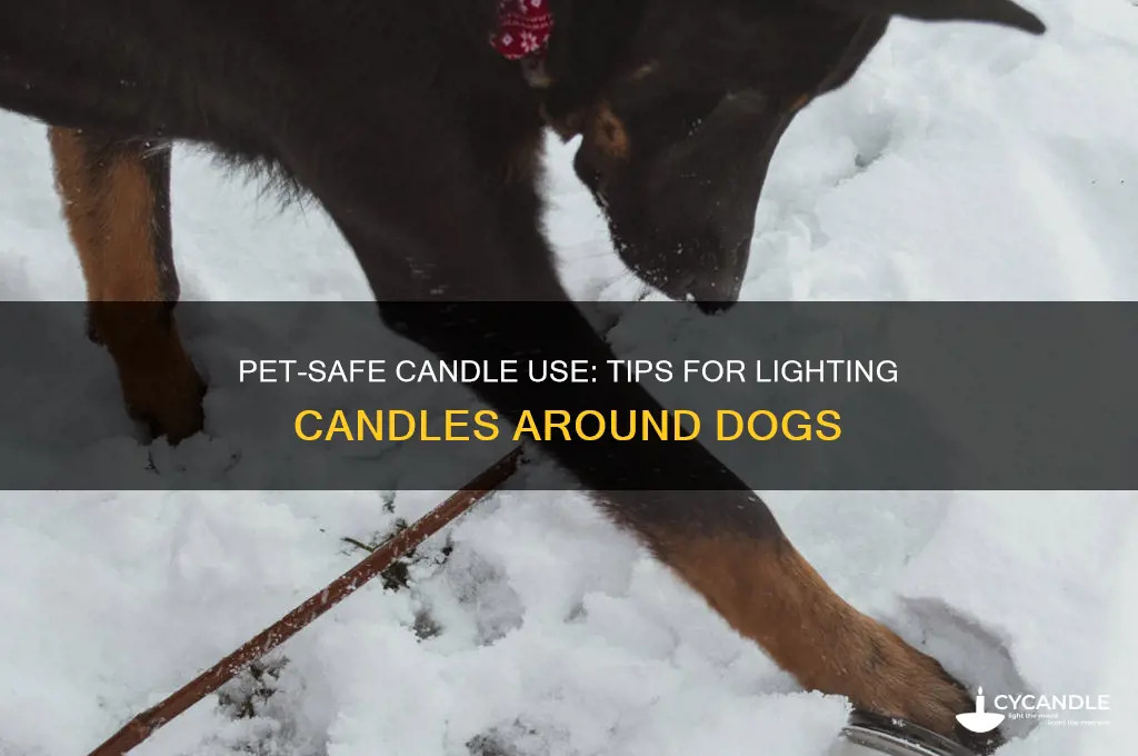 can i light a candle around my dog