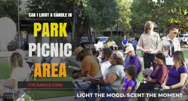 Candles in Park Picnic Areas: Safe or Risky Idea?