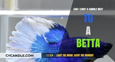Candles and Betta Fish: Safe or Risky Ambiance?