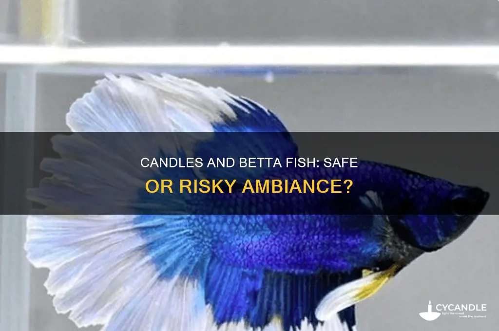 can i light a candle next to a betta