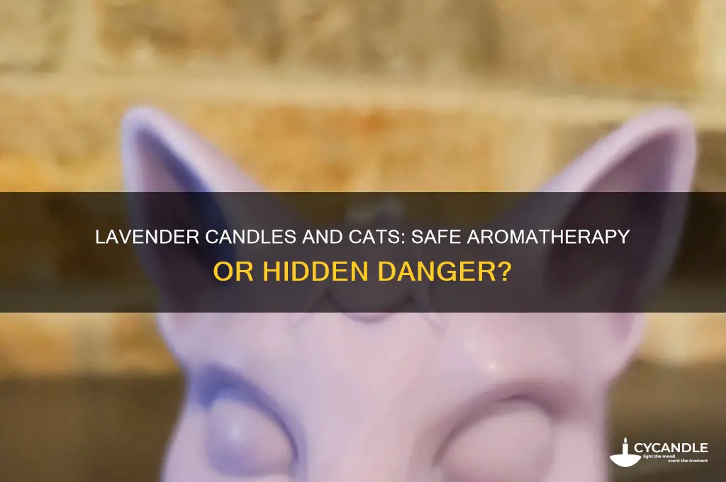 can i light a lavender candle around my cat