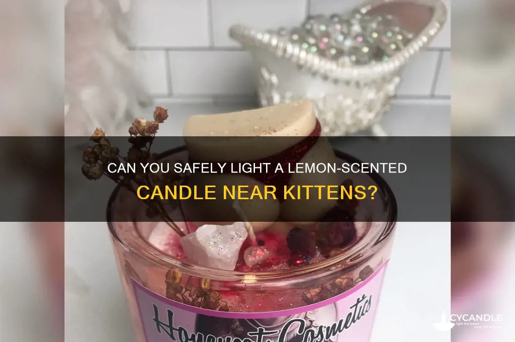 can i light a lemon candle kitten