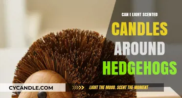 Are Scented Candles Safe for Hedgehogs? A Pet Owner's Guide