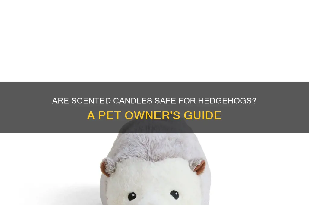 can i light scented candles around hedgehogs