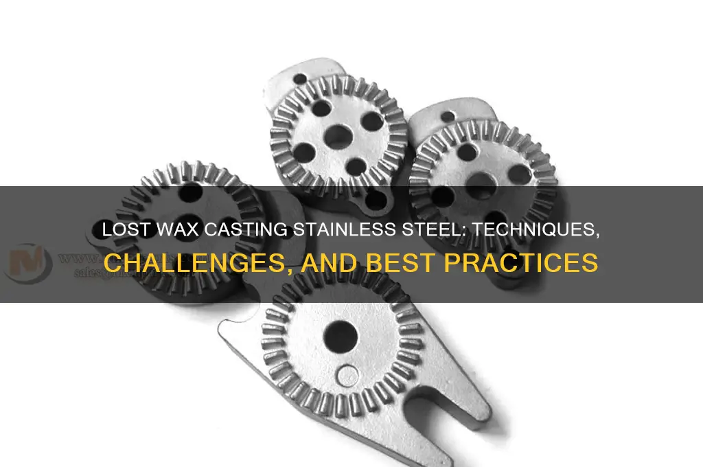 can i lost wax stainless