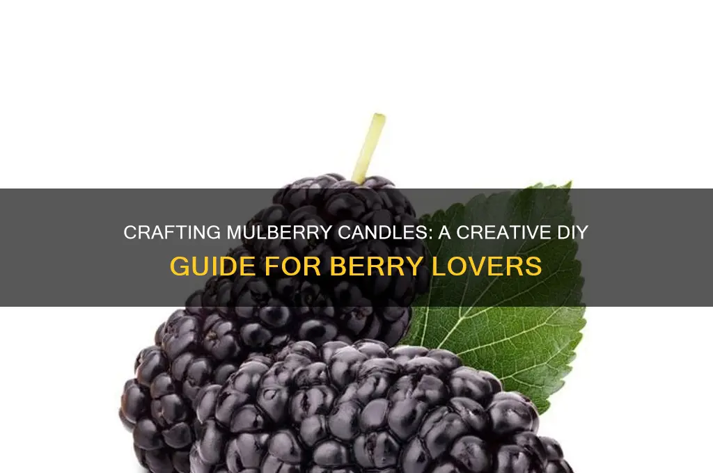 can i make a candle out of mulberries