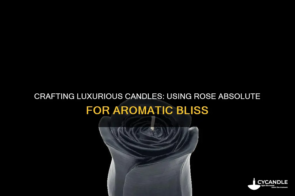 can i make candles with rose absolute