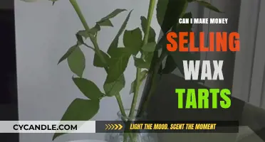 Profitable Wax Tarts: Turning Scents into Income Opportunities