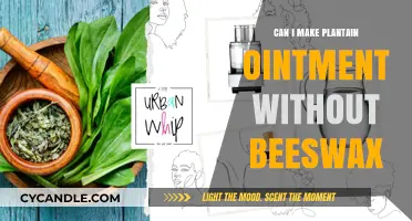 DIY Plantain Ointment: Beeswax-Free Recipe for Natural Skin Healing
