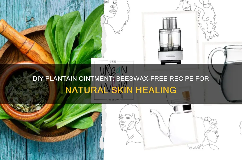 can i make plantain ointment without beeswax