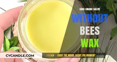 Crafting Salve Without Beeswax: Alternative Ingredients and Easy Recipes