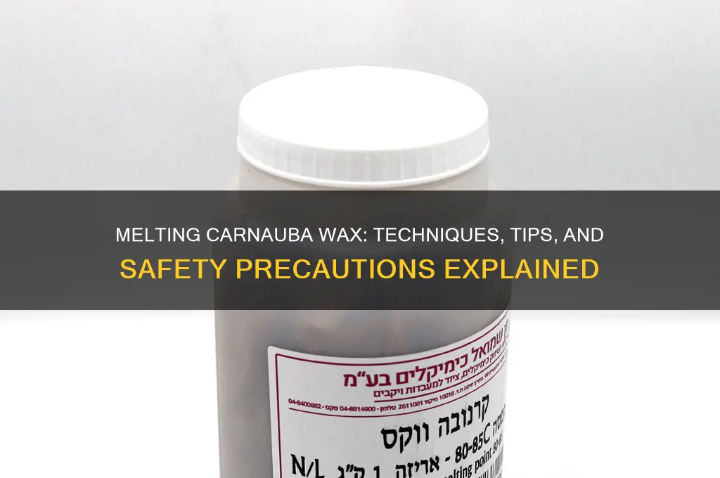 can i melt solid carnauba wax