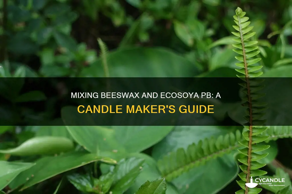 can i mix beeswax with ecosoya pb