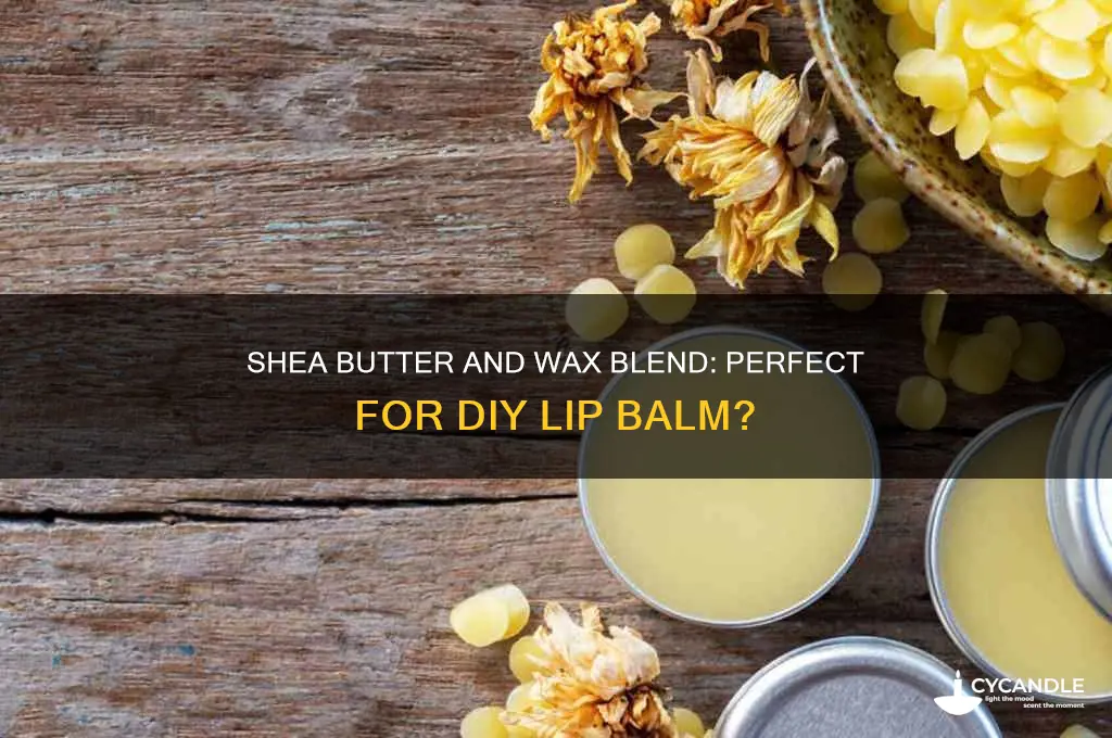 can i mix shea butter with wax for lip balm